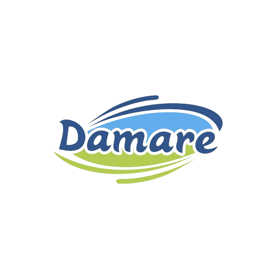 Logo Damare